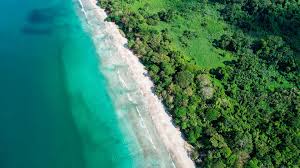 Image result for cahuita costa rica