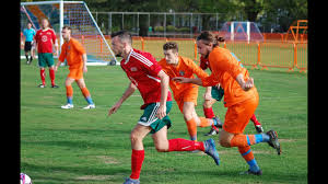 Image result for Chiddingfold Football Club