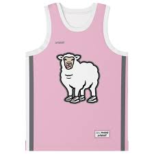 Image result for Teamsheep
