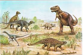 Image result for Imagini tehron