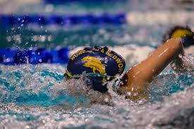 Image result for Nuneaton & Bedworth Swimming Club