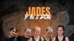 Image result for Bedford Tigers Tchoukball Club