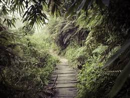 Image result for синхараджа