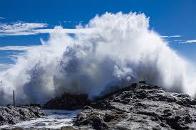 Image result for 高潮 津波 別物