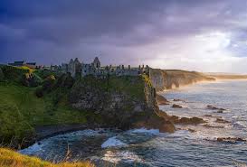 Image result for County Antrim Harriers