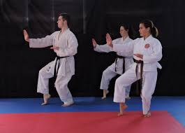 Image result for Windsor Higashi Karate Club