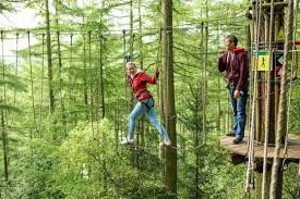 Image result for Go Ape! Thetford