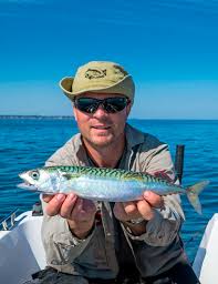 Image result for Seabrook Sea Anglers Association