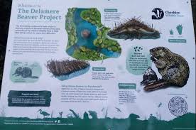 Image result for Northwich Predators