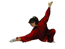 Image result for Wushu Tai Chi Club
