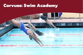 Image result for Cornish Swim Academy