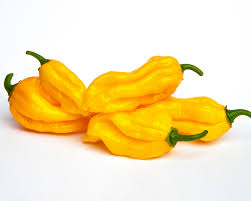 Afbeeldingsresultaat voor yellow fratali hot pepper