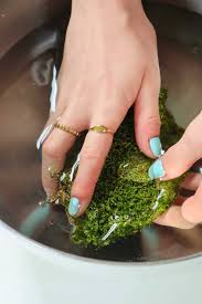 Attēlu rezultāti vaicājumam “Hypnum cupressiforme var. subjulacum”