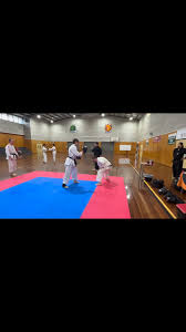 Image result for Levern Tora-Kai Karate Club