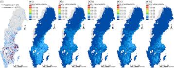 Attēlu rezultāti vaicājumam “Campylophyllum sommerfeltii”