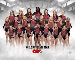 Image result for Hemsworth Odyssey Gymnastics Squad