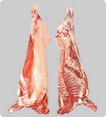 Image result for media res