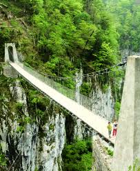 Image result for PONT DE SINGE