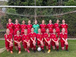 Image result for Hazel Grove United JFC