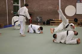 Image result for Worthing judo club