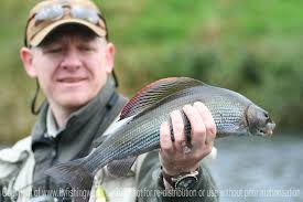 Image result for Segdoune Flyfishers` Angling Club