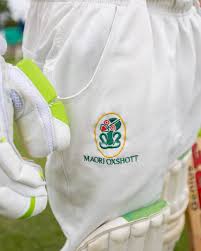 Image result for Oxshott Village Cricket Club