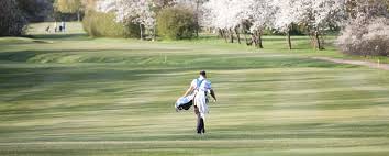 Image result for Mill Hill Sports Club