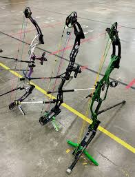 Image result for Muckamore Company Of Archers