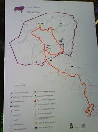 Image result for "Selva Pascuala"