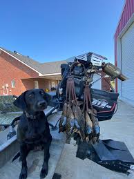 Image result for 【040Turbo】