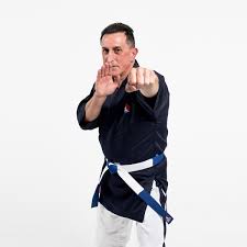Image result for Yoseikan Budo England