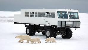 Image result for tundra buggy
