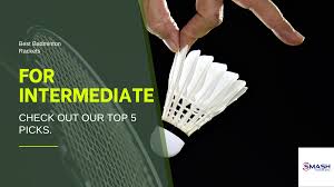 Image result for Beginners and Intermediate Badminton