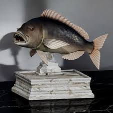 Image result for Dentex dentex