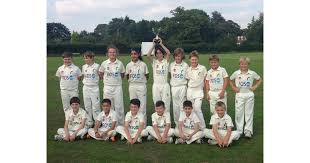 Image result for Great Baddow Cricket Club