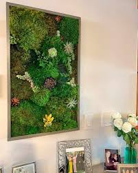 Image result for living wall