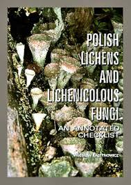 Attēlu rezultāti vaicājumam “Sclerophora coniophaea”