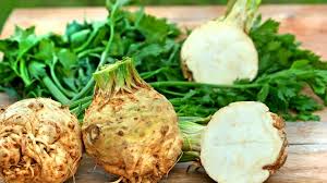 Image result for Sellerie