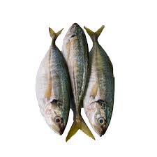 Image result for ikan
