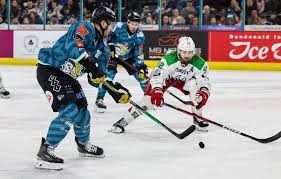 Image result for Cardiff Devils