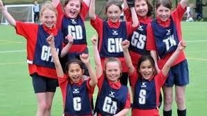 Image result for Farnham Netball Club