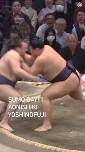 Image result for Harrow Shorinji Kempo