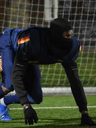 Image result for Birmingham University Lions