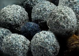 Attēlu rezultāti vaicājumam “Badhamia dubia”