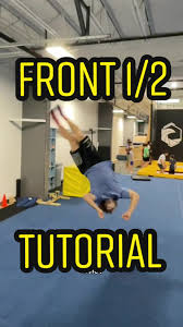 Image result for flip and twist