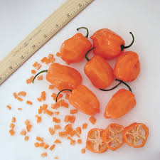 Afbeeldingsresultaat voor orange habanero hot pepper
