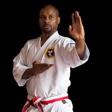 Image result for Masters of Martial Arts