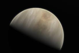Image result for venus