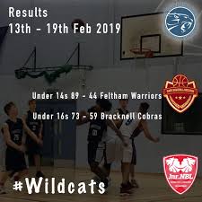 Image result for Kingston Wildcats Basketball Club