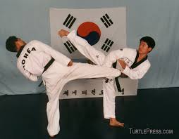 Image result for English International Allstyles Taekwon-Do